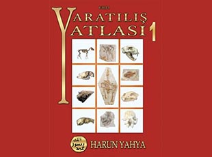 yaradilis atlasi