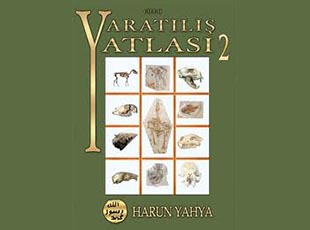 yaradilis atlasi