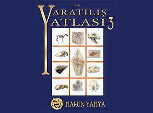 yaradılış atlası